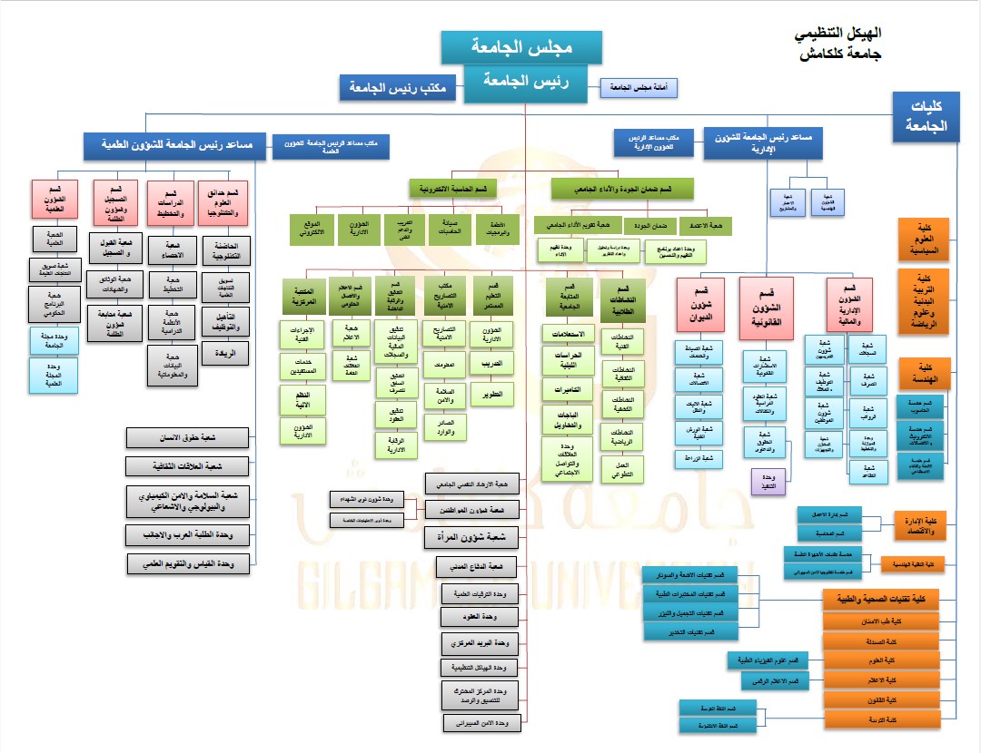 Organizational Structure